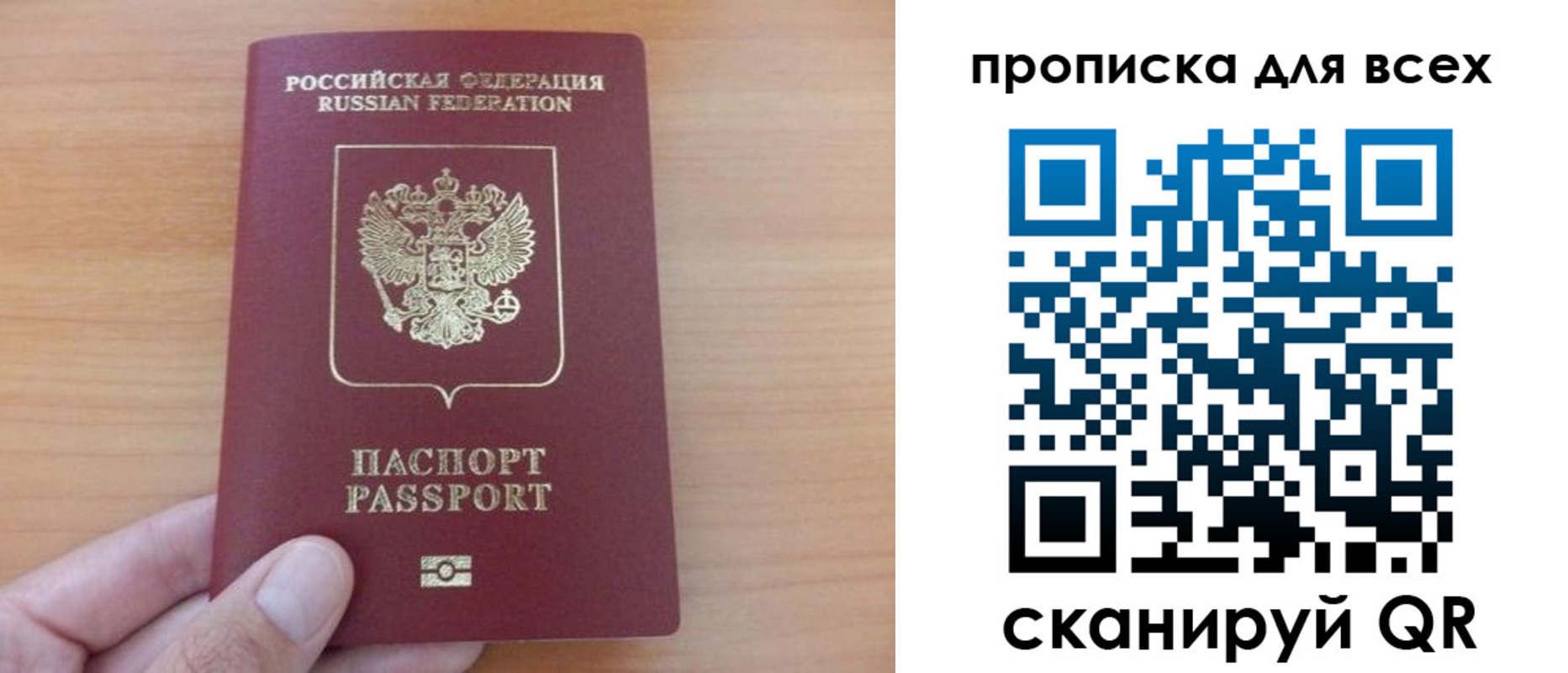 прописка поиск в Вязьме